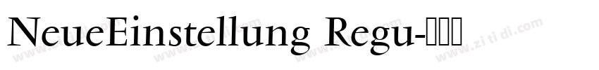 NeueEinstellung Regu字体转换